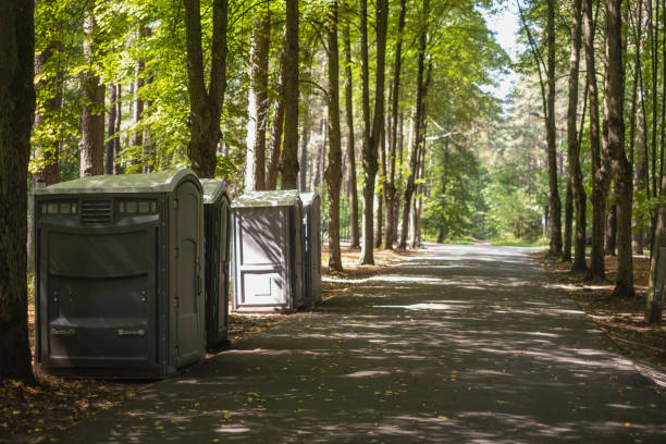 Portable Toilet Options We Offer in Mountain Road, VA